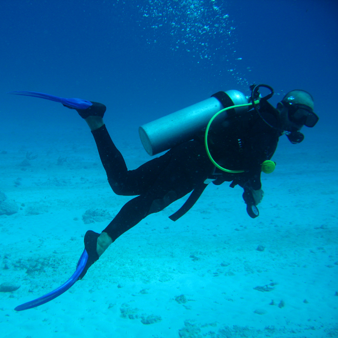 Dolphin House Satayah Reef Snorkelling — Marsa Alam